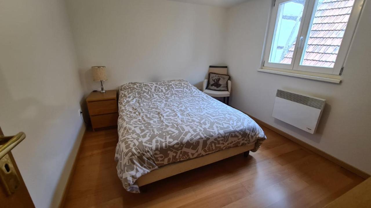 Le Bonheur Est Parfois Cache Dans L'Inconnu Apartment Selestat Luaran gambar
