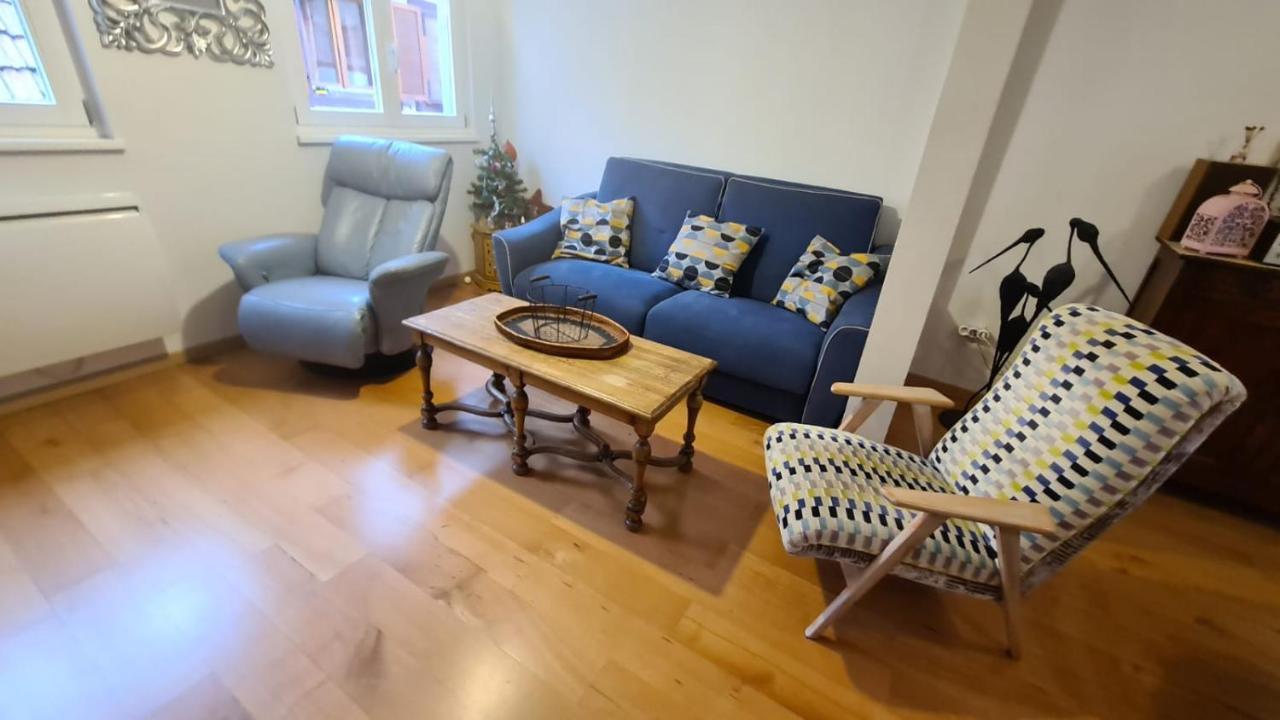 Le Bonheur Est Parfois Cache Dans L'Inconnu Apartment Selestat Luaran gambar