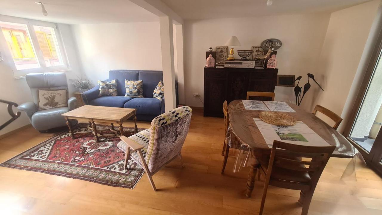 Le Bonheur Est Parfois Cache Dans L'Inconnu Apartment Selestat Luaran gambar