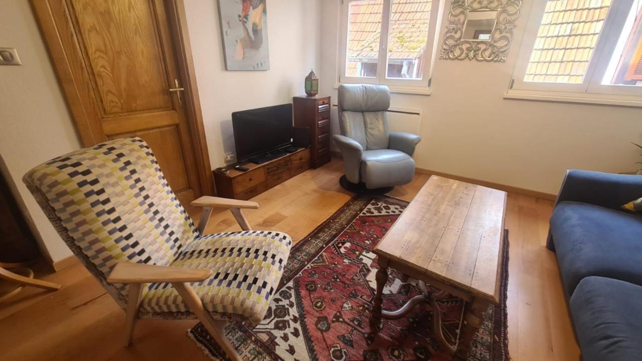Le Bonheur Est Parfois Cache Dans L'Inconnu Apartment Selestat Luaran gambar