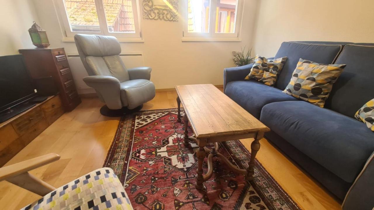 Le Bonheur Est Parfois Cache Dans L'Inconnu Apartment Selestat Luaran gambar
